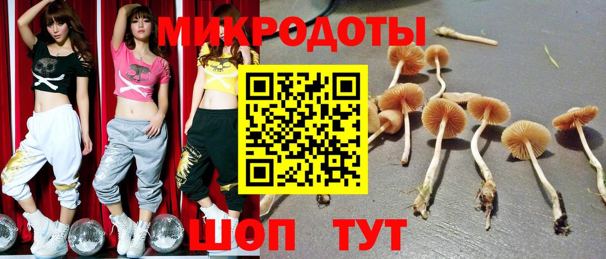 Сосновоборск  Псилоцибиновые грибы Psilocybine cubensis  где найти   Вход с VPN 