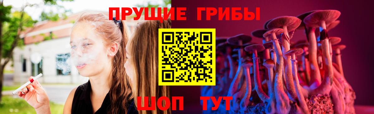 Псилоцибиновые грибы Psilocybine cubensis Сосновоборск